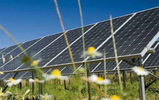 Save ENERGY - Save the WORLD & Claim the PROFITS